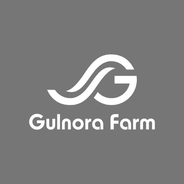 Gulnora Farm Chinobod filiali